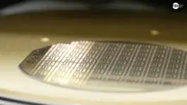 2022 FBH Video Bony Stoev